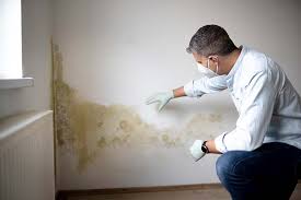 Biohazard Mold Removal